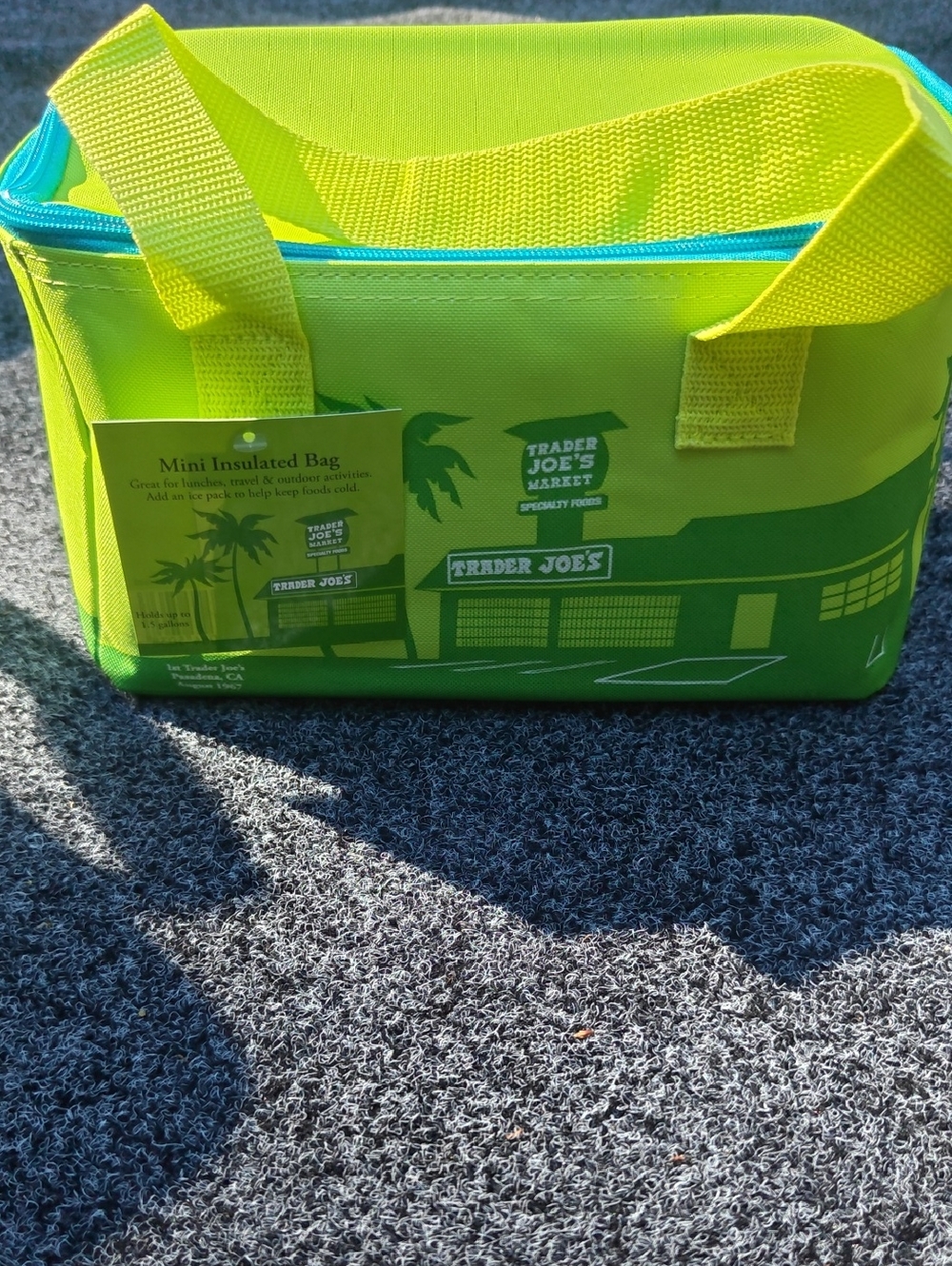 Trader Joe's Mini Green Insulated Bag